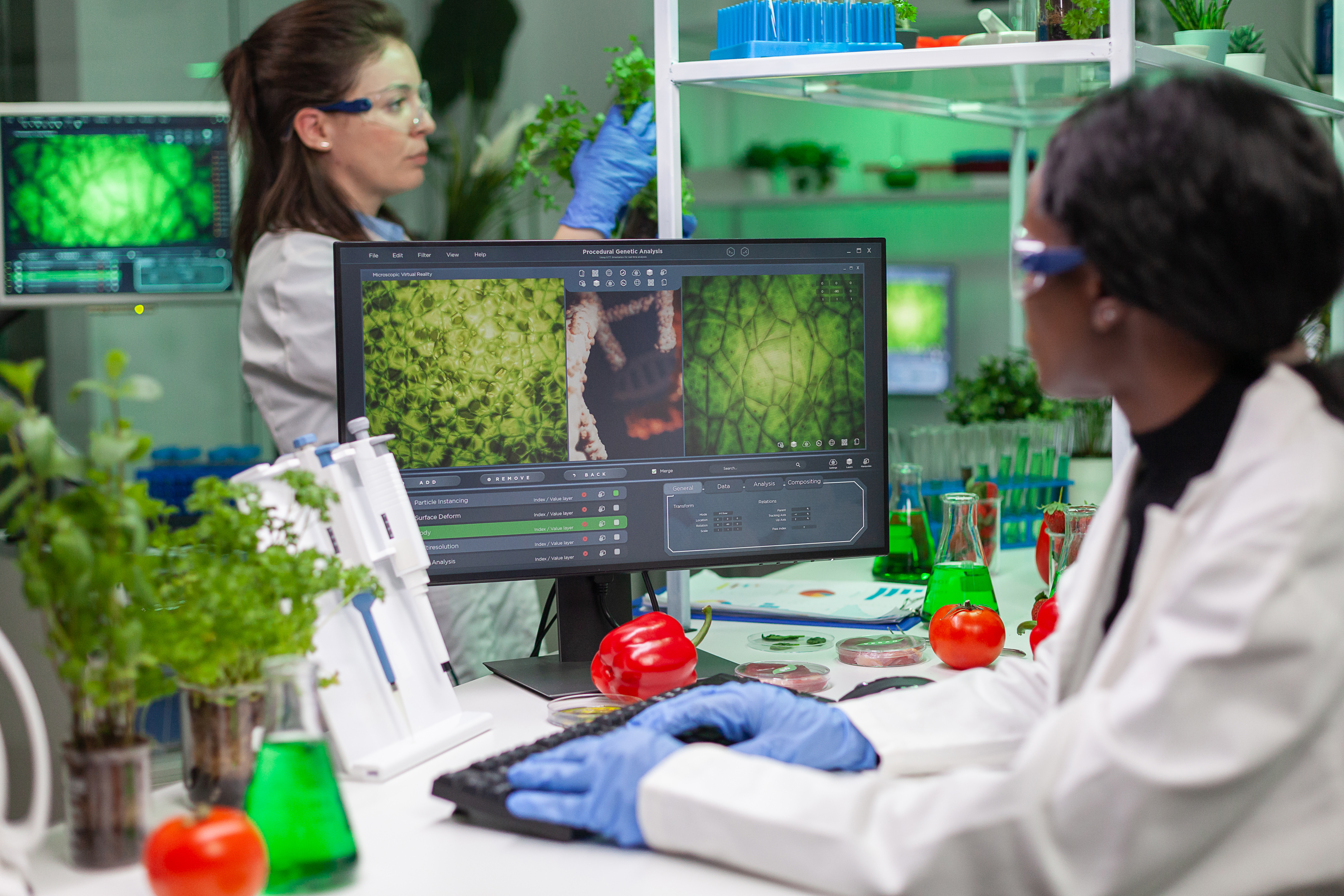Investigación ciencia de alimentos