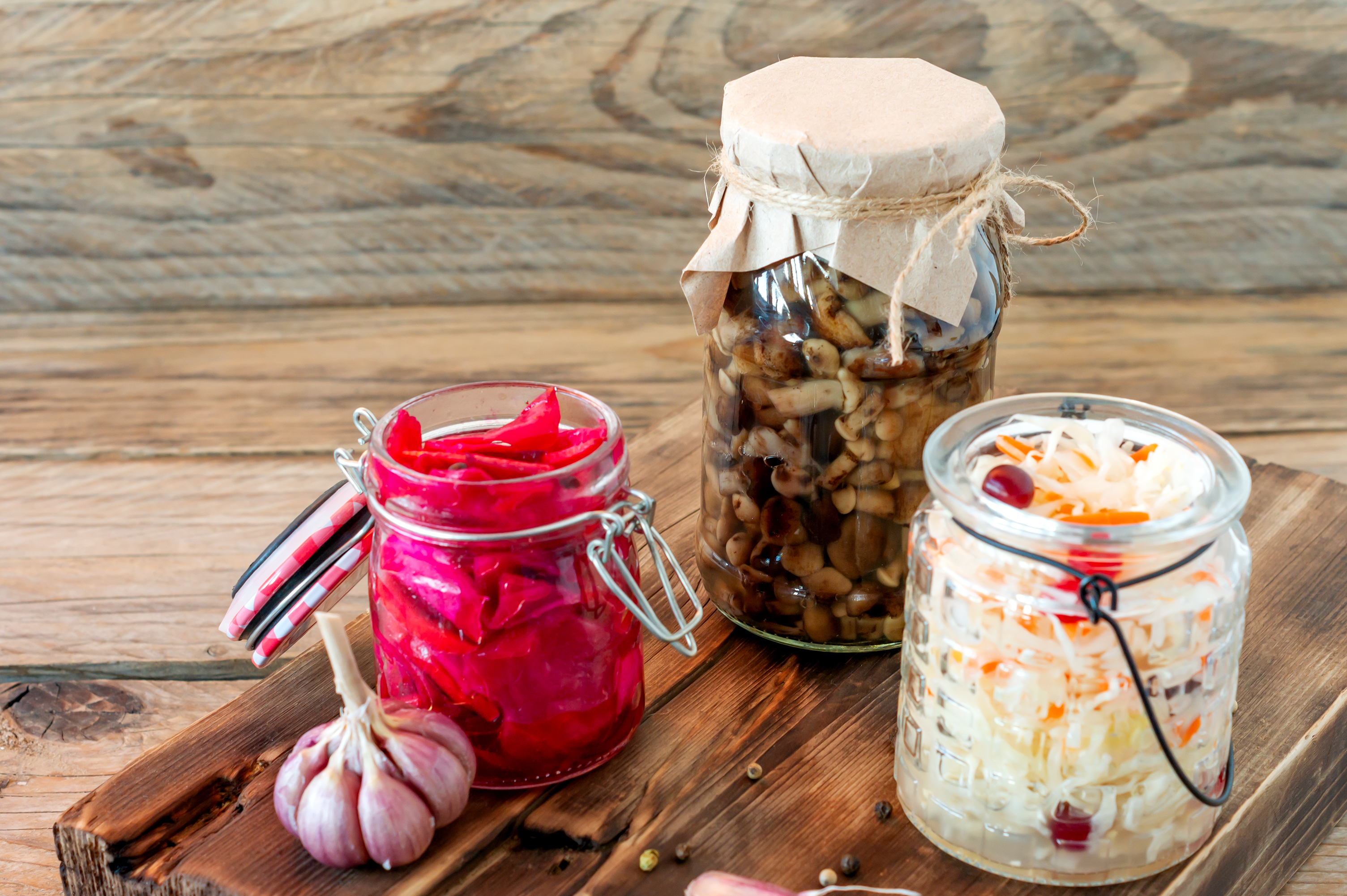 Alimentos fermentados